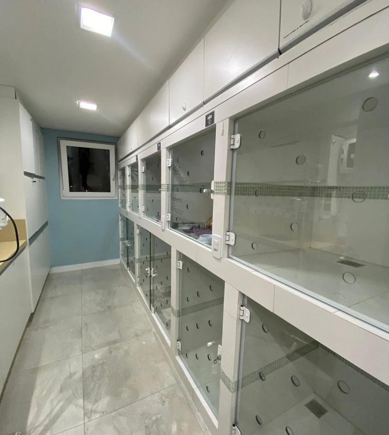 Imagem do WhatsApp de 2023-07-01 à(s) 07.58.22