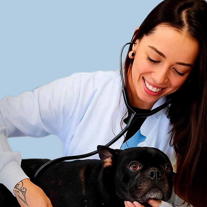 Iala da Luz de Souza CRMV-SC 11725