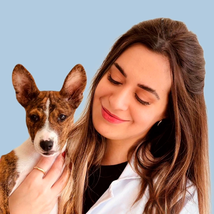 Tainara de Souza CRMV-SC 12271